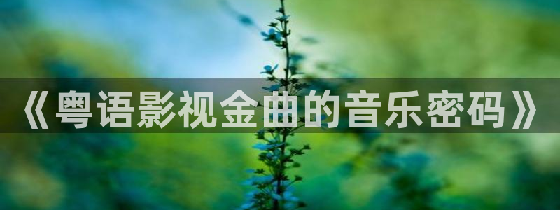91色七七影院