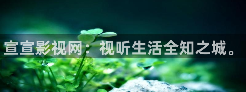 七七影院在线观看免费播放电视剧：宣宣影视网：视听生活全知之城。